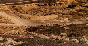 NBA不同时代的大小王！这么排没毛病吧？